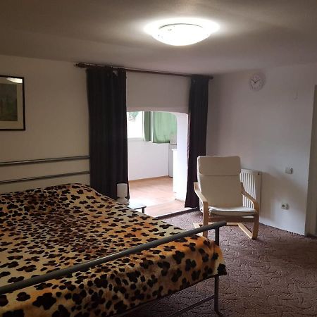 Casa Oriana Διαμέρισμα Predeal Εξωτερικό φωτογραφία