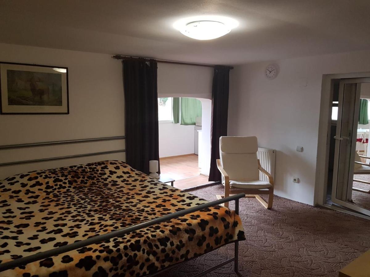Casa Oriana Διαμέρισμα Predeal Εξωτερικό φωτογραφία